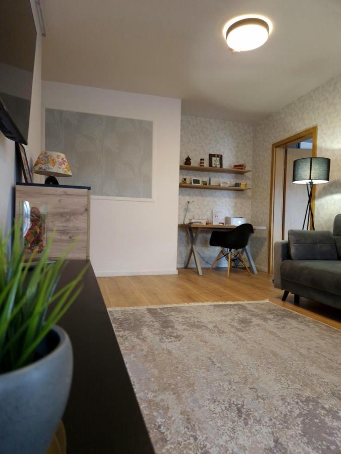 City Apartment Dorobantilor Κλουζ-Ναπόκα Εξωτερικό φωτογραφία
