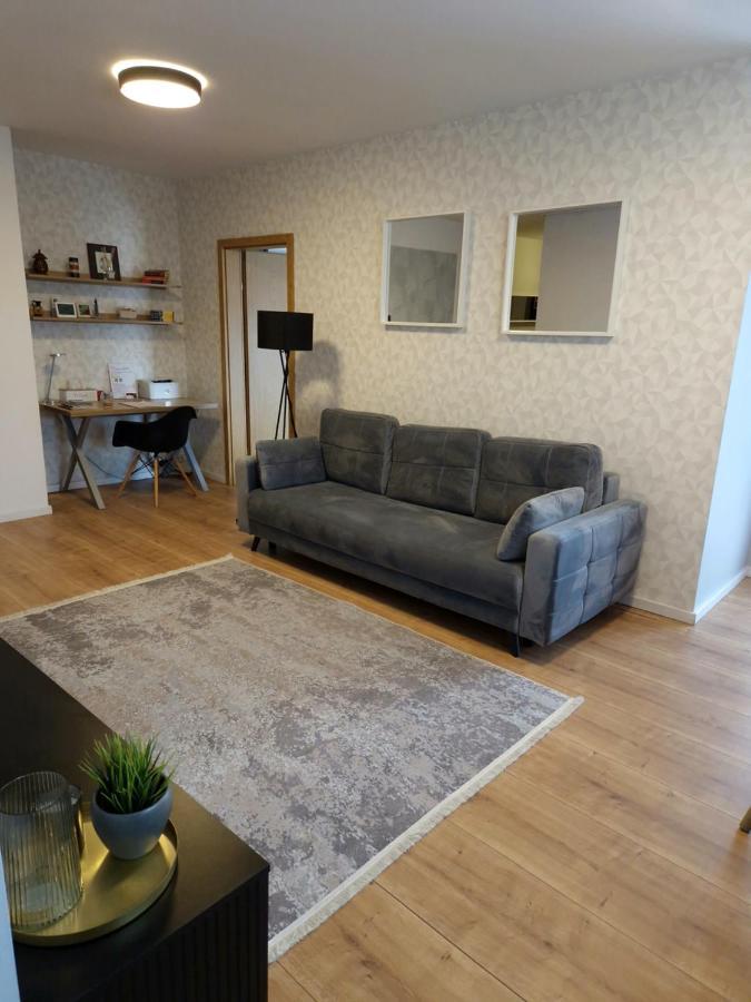 City Apartment Dorobantilor Κλουζ-Ναπόκα Εξωτερικό φωτογραφία