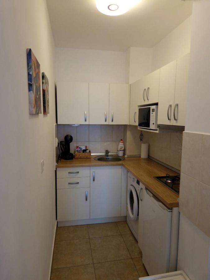 City Apartment Dorobantilor Κλουζ-Ναπόκα Εξωτερικό φωτογραφία